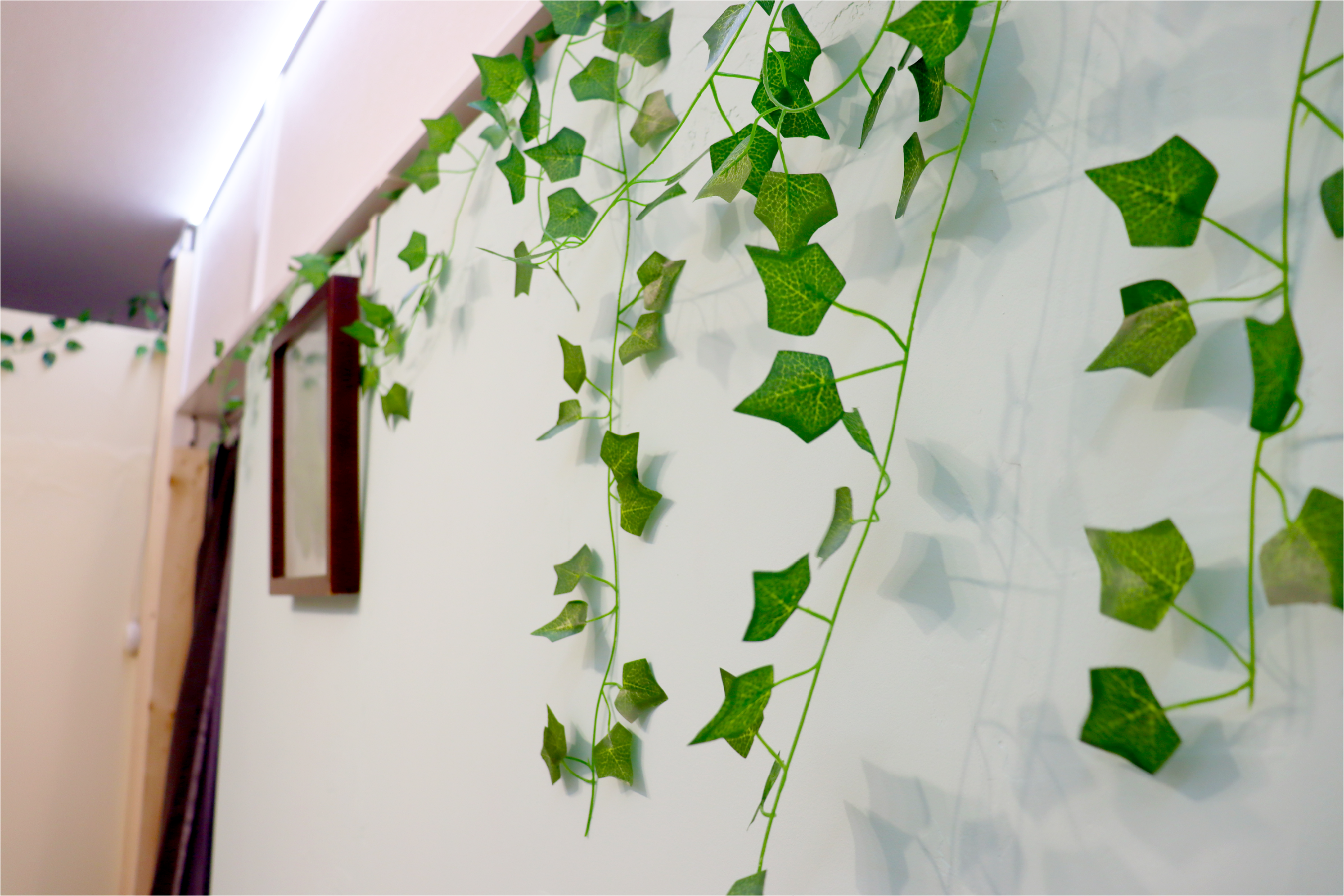 壁に植物が飾られた店内
